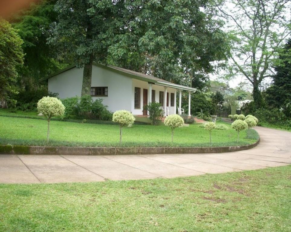 White House Bed And Breakfast Guest House Hillcrest Habitación foto